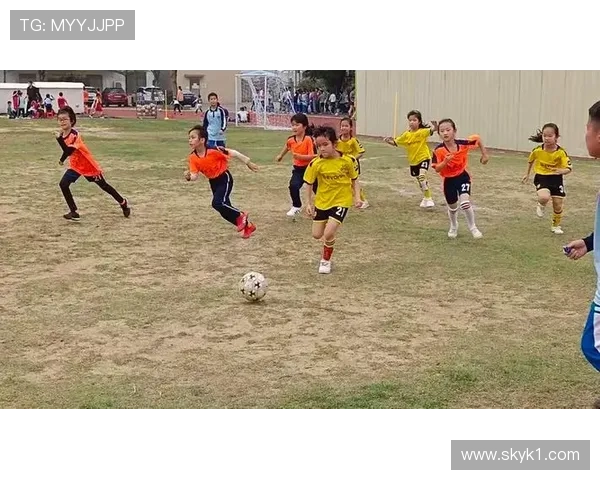 护腿板要求：裁判认定合格的材质、遮盖与穿戴标准